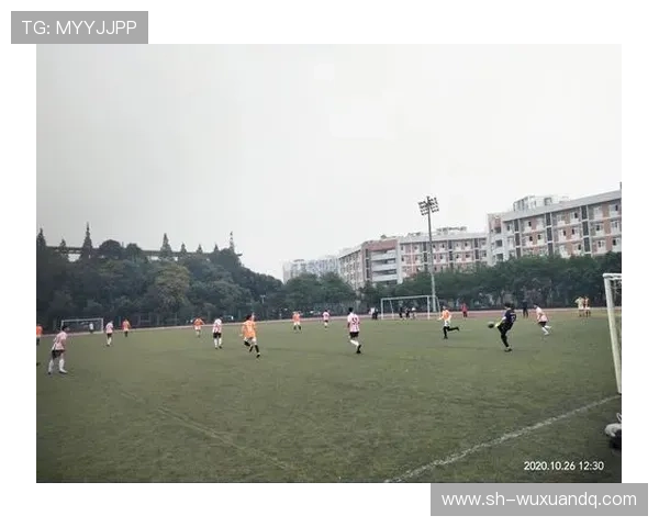 成都足球队技术争议引发热议球迷与专家各执己见探讨战术选择