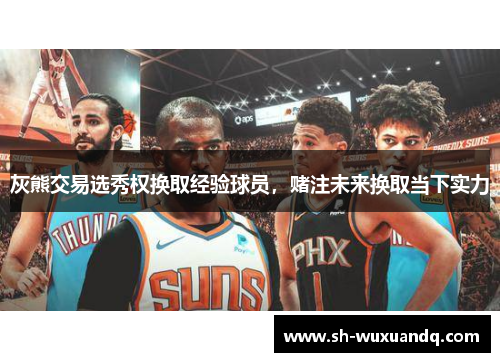 灰熊交易选秀权换取经验球员，赌注未来换取当下实力