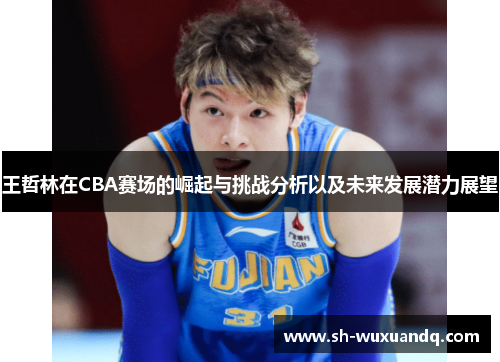 王哲林在CBA赛场的崛起与挑战分析以及未来发展潜力展望