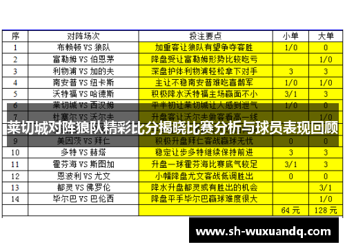 莱切城对阵狼队精彩比分揭晓比赛分析与球员表现回顾