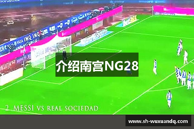 介绍南宫NG28